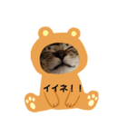 むぎちゃんねる②（個別スタンプ：3）