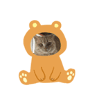 チャコ 2021冬（個別スタンプ：3）