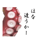 【飛び出す】タコ足(関西弁)（個別スタンプ：5）