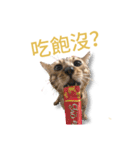 噗嗎＆土豆I（個別スタンプ：6）