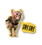 噗嗎＆土豆I（個別スタンプ：7）