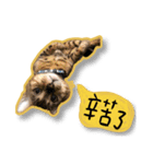 噗嗎＆土豆I（個別スタンプ：10）