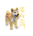 噗嗎＆土豆I（個別スタンプ：11）