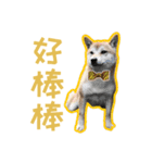 噗嗎＆土豆I（個別スタンプ：14）