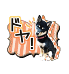 黒柴犬の♡あいさつ♡スタンプ03 黒豆柴（個別スタンプ：7）