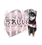 黒柴犬の♡あいさつ♡スタンプ03 黒豆柴（個別スタンプ：14）