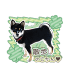 黒柴犬の♡あいさつ♡スタンプ03 黒豆柴（個別スタンプ：23）