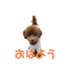 10.ココ（個別スタンプ：1）