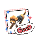 10.ココ（個別スタンプ：2）