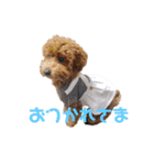 10.ココ（個別スタンプ：5）