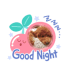 10.ココ（個別スタンプ：8）