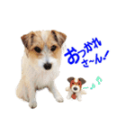 関西ジャック Part2（個別スタンプ：1）