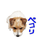 関西ジャック Part2（個別スタンプ：3）