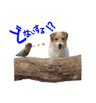 関西ジャック Part2（個別スタンプ：4）