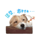 関西ジャック Part2（個別スタンプ：5）