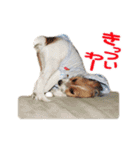 関西ジャック Part2（個別スタンプ：10）