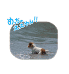 関西ジャック Part2（個別スタンプ：11）