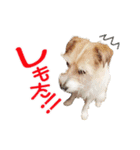 関西ジャック Part2（個別スタンプ：12）