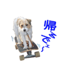 関西ジャック Part2（個別スタンプ：13）
