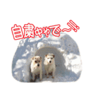 関西ジャック Part2（個別スタンプ：17）
