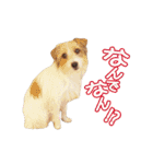 関西ジャック Part2（個別スタンプ：18）