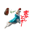 関西ジャック Part2（個別スタンプ：19）
