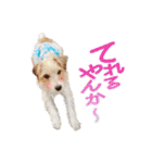 関西ジャック Part2（個別スタンプ：21）