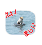 関西ジャック Part2（個別スタンプ：22）