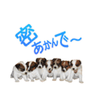 関西ジャック Part2（個別スタンプ：24）