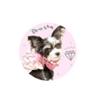 チワマル♡COCOのゆめかわスタンプ（個別スタンプ：3）