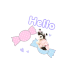 チワマル♡COCOのゆめかわスタンプ（個別スタンプ：4）
