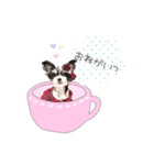 チワマル♡COCOのゆめかわスタンプ（個別スタンプ：6）