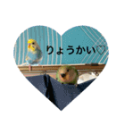 おもちゅんSTYLE♡（個別スタンプ：13）