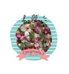 Sticker flower お花のスタンプ（個別スタンプ：2）