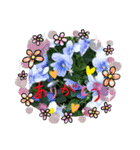 Sticker flower お花のスタンプ（個別スタンプ：5）