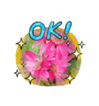 Sticker flower お花のスタンプ（個別スタンプ：6）