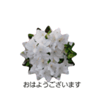 Sticker flower お花のスタンプ（個別スタンプ：7）