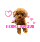 アップルちゃんの日常会話Vol.2（個別スタンプ：1）