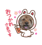 アップルちゃんの日常会話Vol.2（個別スタンプ：10）