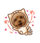 アップルちゃんの日常会話Vol.2（個別スタンプ：14）