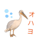 ケニア☆アニマル2（個別スタンプ：4）