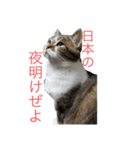 うちのあんずちゃん（個別スタンプ：5）