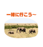 ケニア☆アニマル（個別スタンプ：2）