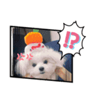 りたまるです（個別スタンプ：6）