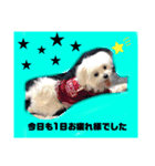 りたまるです（個別スタンプ：9）