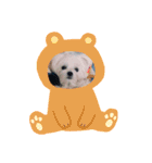 りたまるです（個別スタンプ：11）