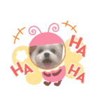 りたまるです（個別スタンプ：13）