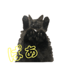 黒猫 くぅちゃん（個別スタンプ：1）