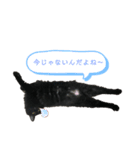 黒猫 くぅちゃん（個別スタンプ：6）