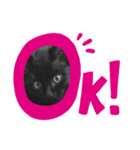 黒猫 くぅちゃん（個別スタンプ：7）